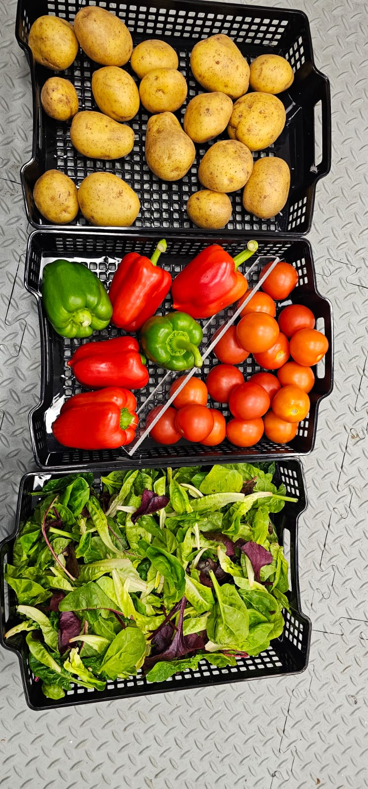 Chilled Pod Testing-1